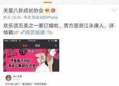 小说吃瓜娱乐,揭秘娱乐圈背后的秘密与真相