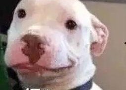 微信公众号娱乐圈吃瓜